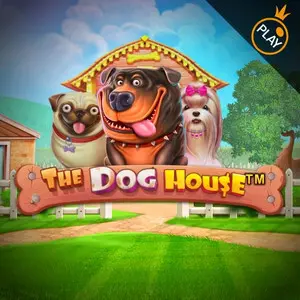 the dog house